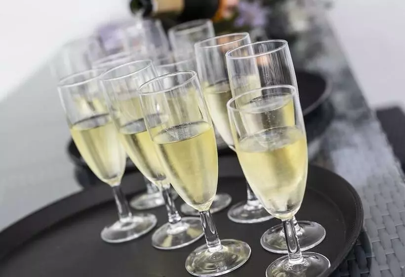 Dolphin Hotel Herning