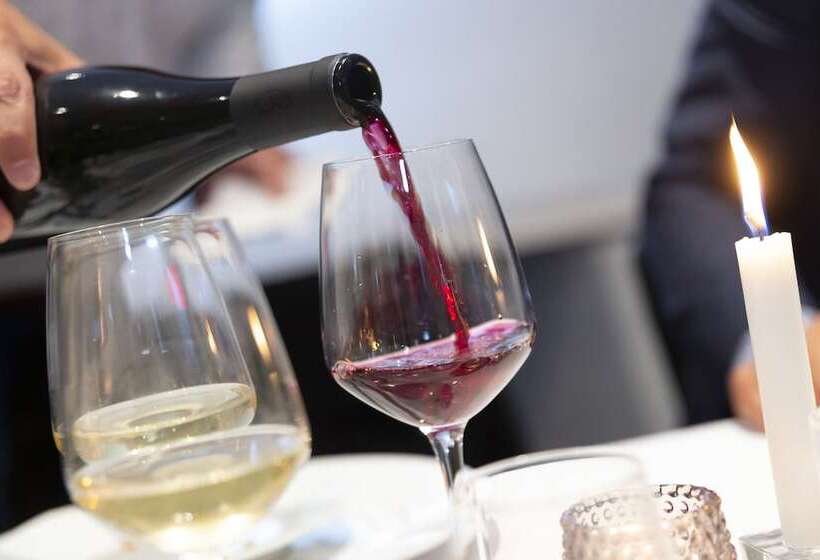 Dolphin Hotel Herning