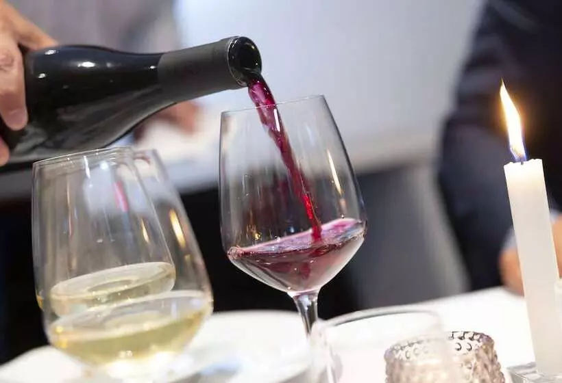 Dolphin Hotel Herning