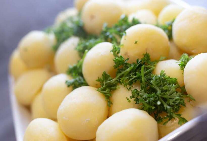 Dolphin Hotel Herning