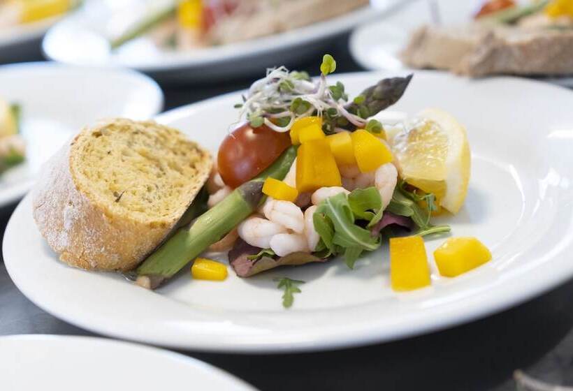 Dolphin Hotel Herning