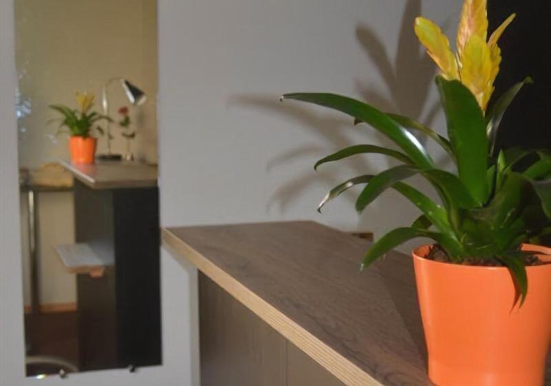 酒店 Hôtel Lémand Lyon Est   Villefontaine