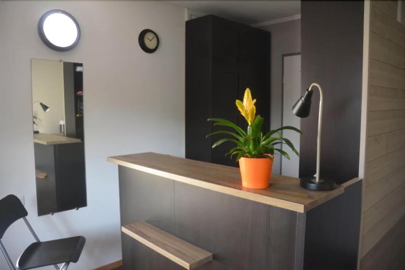 酒店 Hôtel Lémand Lyon Est   Villefontaine