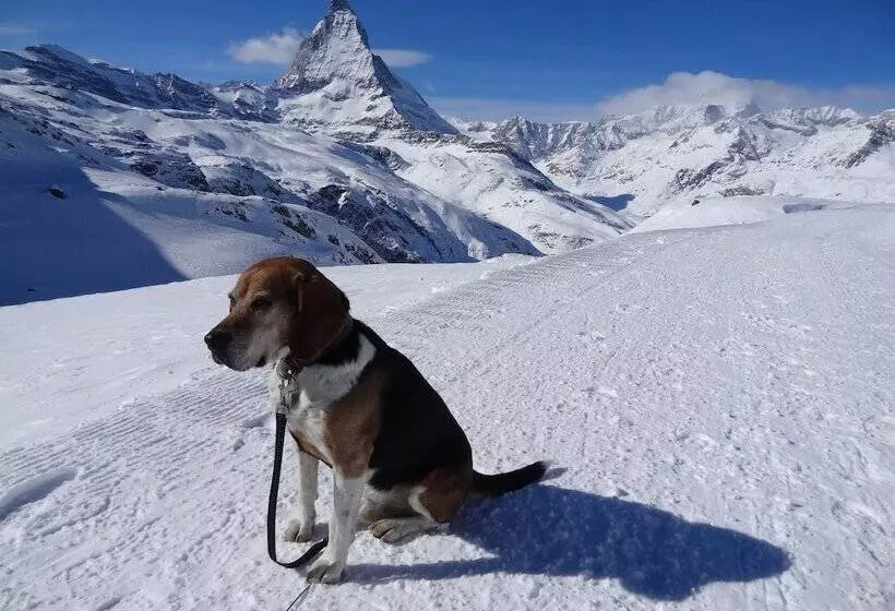 בית מלון כפרי Phoenix