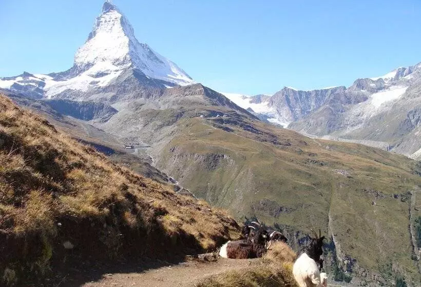 בית מלון כפרי Phoenix