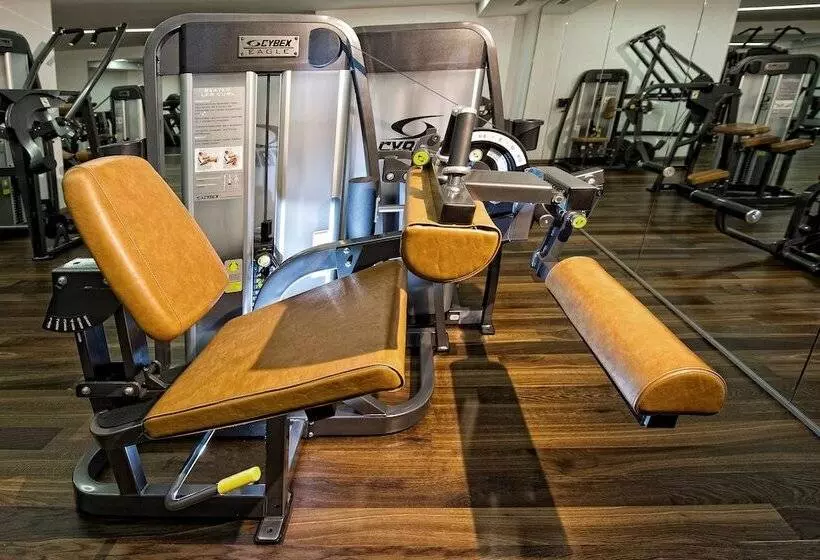 בית מלון כפרי Phoenix