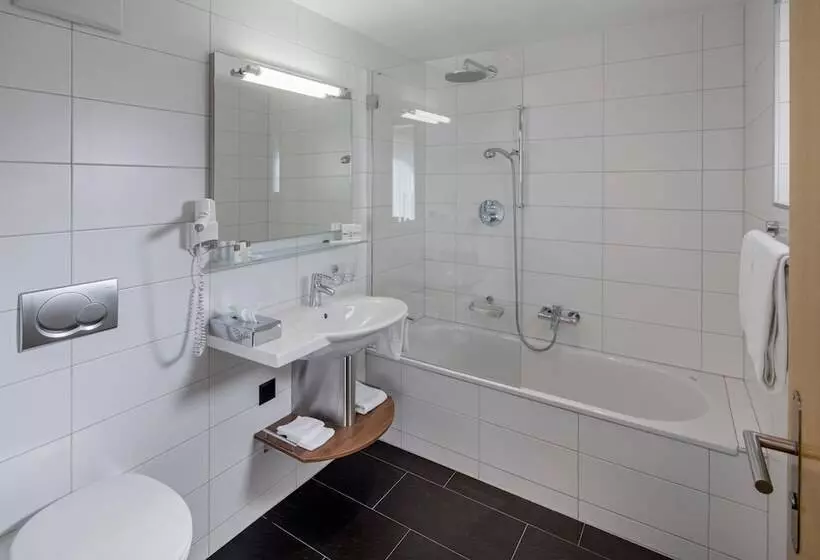 בית מלון כפרי Phoenix