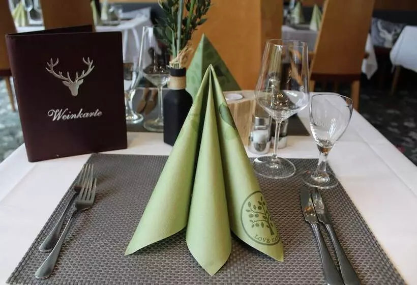 Отель Rennsteig