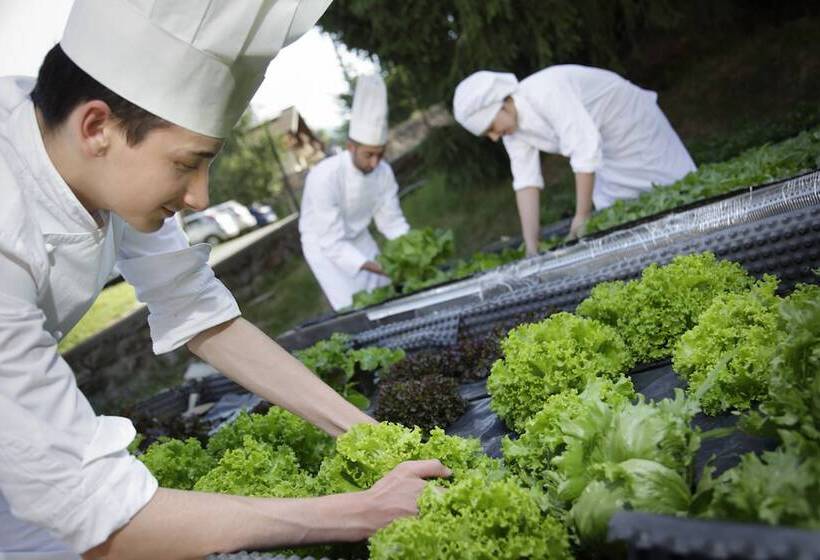 Boutique Hotel E Chalets Salvadori