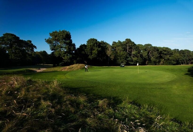 بنسيون The Lodge At Meyrick Park