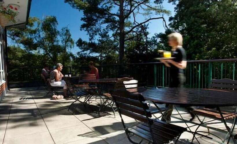 بنسيون The Lodge At Meyrick Park