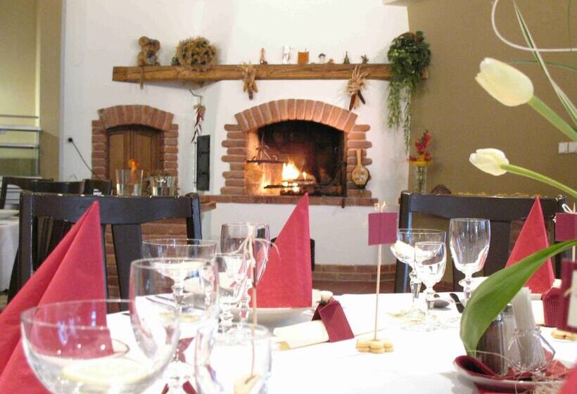 בית מלון כפרי Cingov