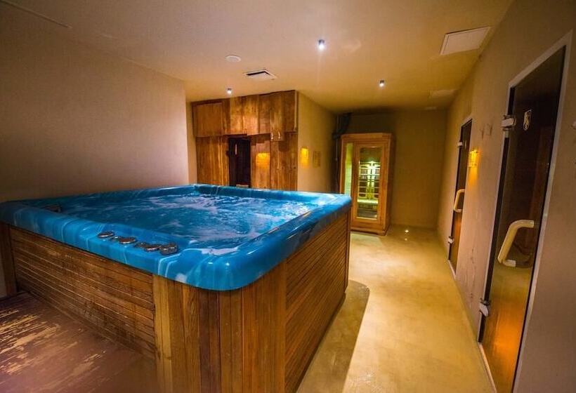 בית מלון כפרי Cingov