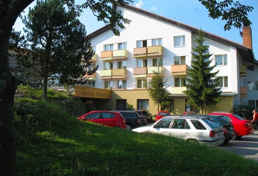 בית מלון כפרי Cingov