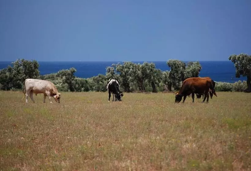 ホテル Masseria Palombara Grande