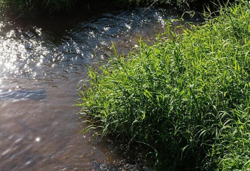 酒店 Moulin De Conques Restaurant Herve Busset