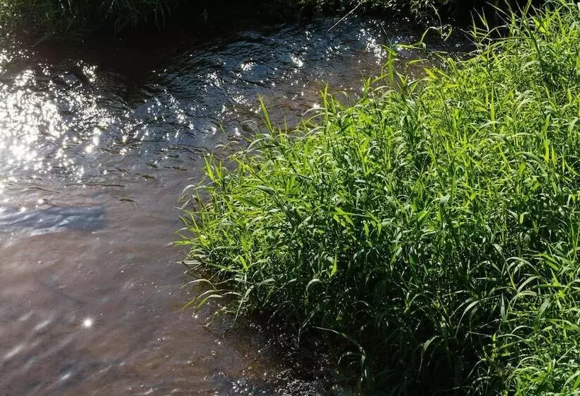 호텔 Moulin De Conques Restaurant Herve Busset