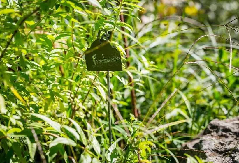 호텔 Moulin De Conques Restaurant Herve Busset