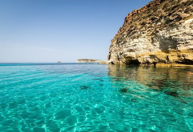 Отель Cavalluccio Marino