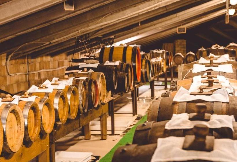 酒店 San Pellegrino