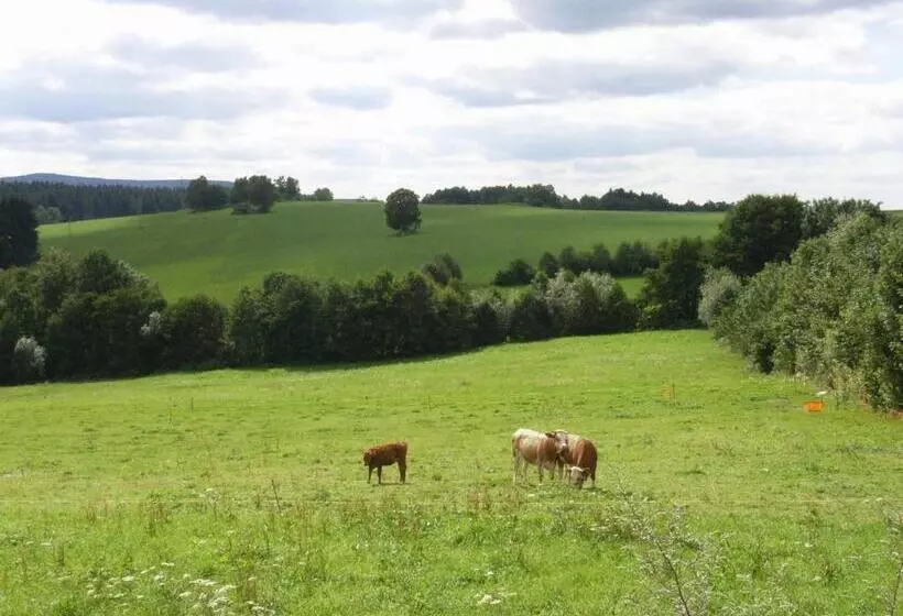 ホテル Und Restaurant Kohlerhutte  Furstenbrunn
