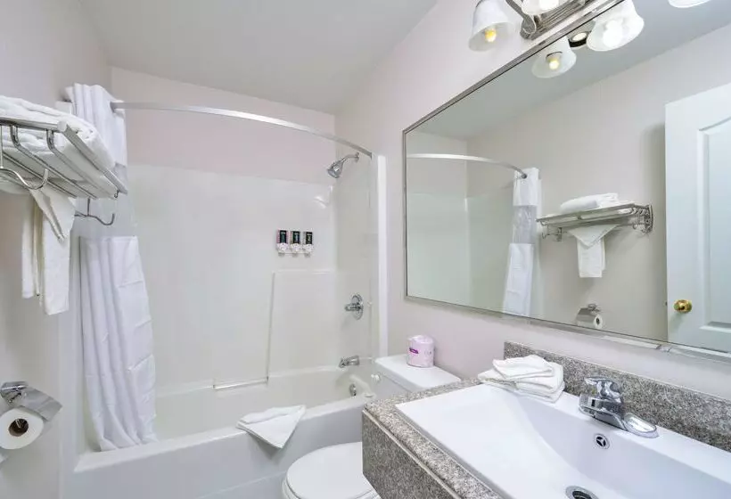 Hotel Canadas Best Value Inn Valemount