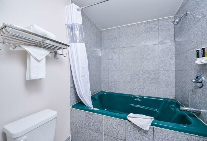 Szálloda Canadas Best Value Inn Valemount