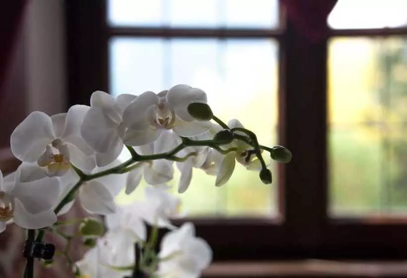 Отель Castel Rundegg