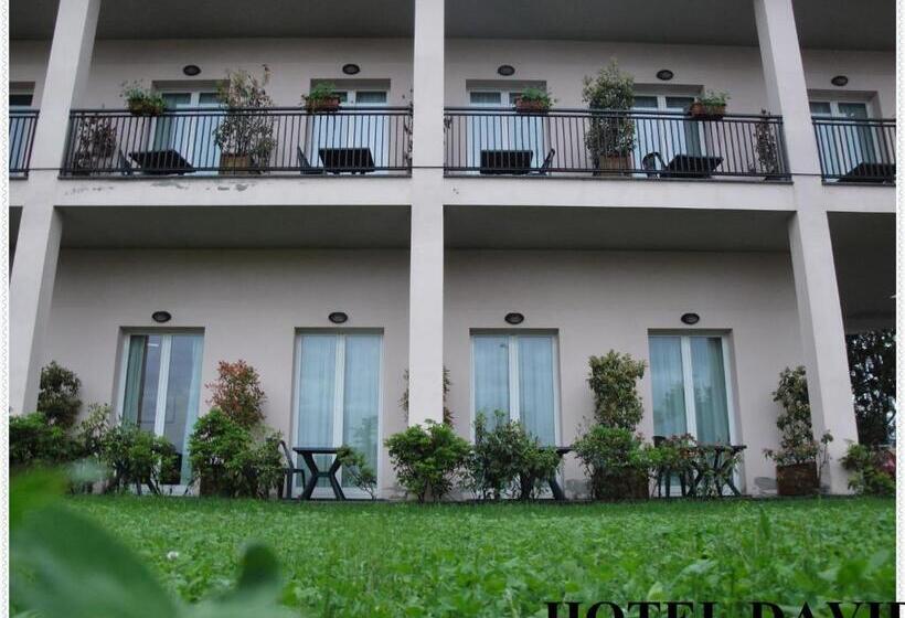 בית מלון כפרי David