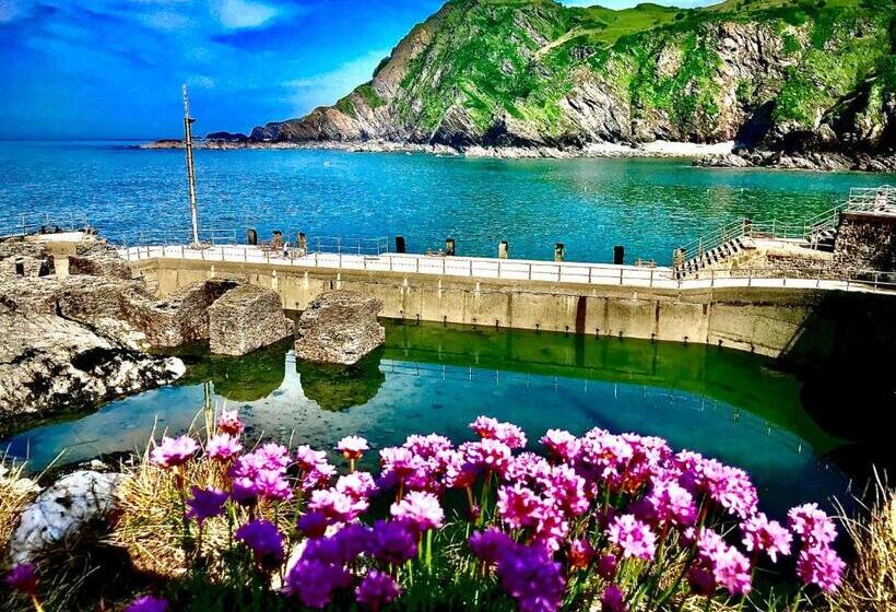 فندق Palm Court B&b