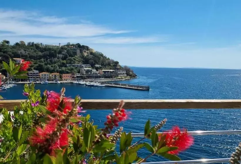 בית מלון כפרי Plaza