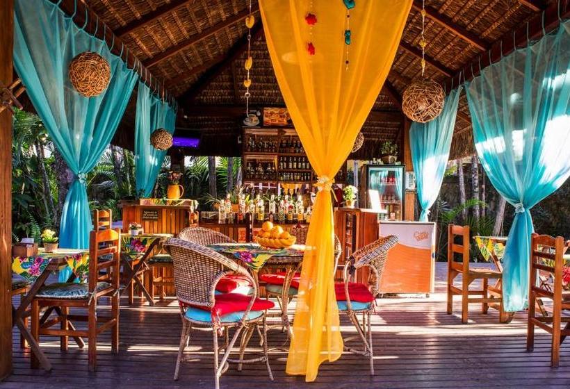 هتل Pousada Palmeira Imperial