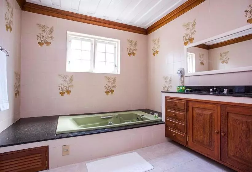 酒店 Pousada Palmeira Imperial