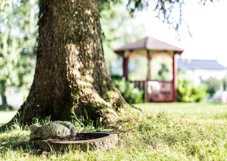 乡村酒店 Salzburg Hotel Holznerwirt