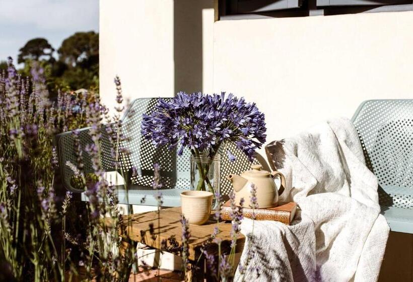 The Studios By Manna, Ascend Hotel Collection