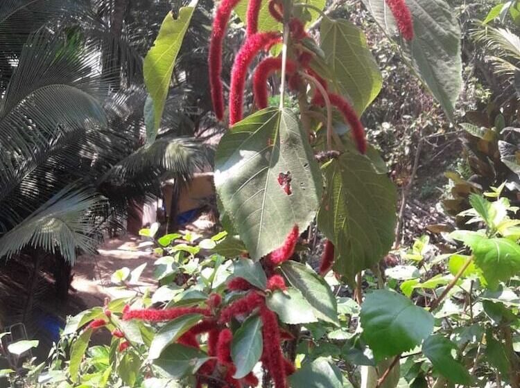 فندق Blue Lagoon Resort Goa