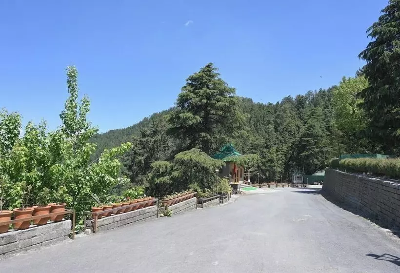 酒店 Kufri Holiday Resort