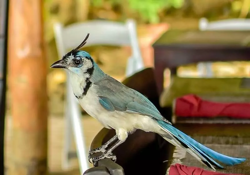 استراحتگاه Selá Nicaragua