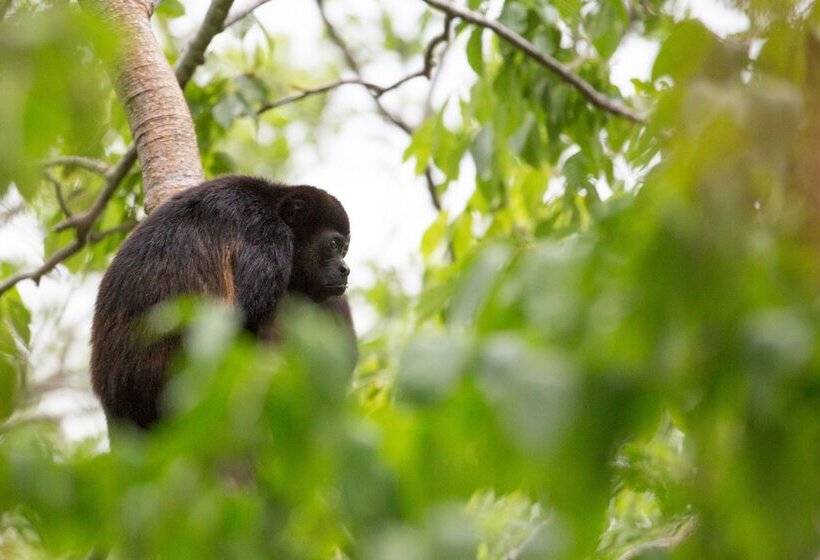 استراحتگاه Selá Nicaragua