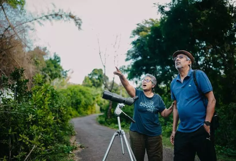 リゾートホテル Jungle Hut