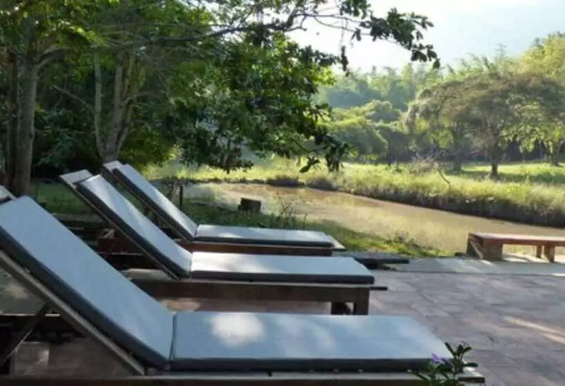 リゾートホテル Jungle Hut