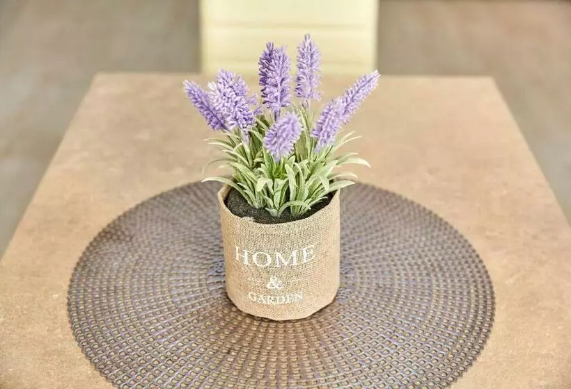 Apartamente Astoria