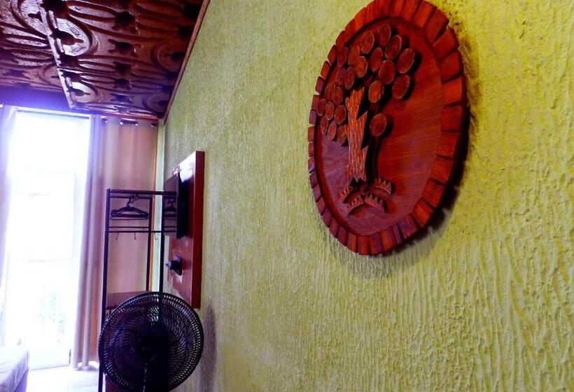 בית מלון כפרי Atlantic Hospedagem