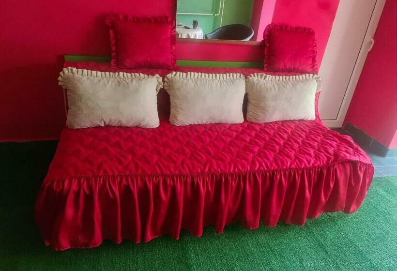 پانسیون Apartman Petrovaradin