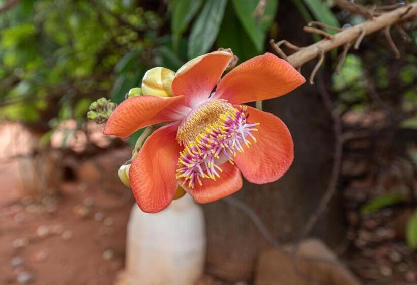 The Croft Resort Premium Farm Stay