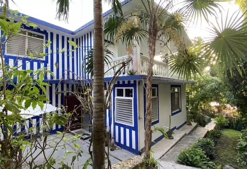 ユースホステル Lulú La Bruja Yoga Lodge