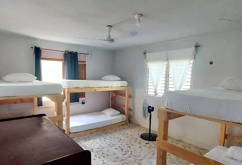 ユースホステル Lulú La Bruja Yoga Lodge