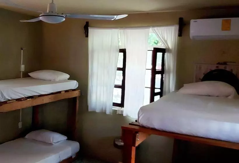 ユースホステル Lulú La Bruja Yoga Lodge