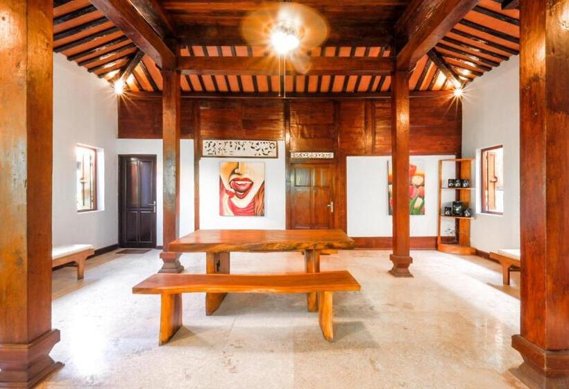 تختخواب و صبحانه Surfer Paradise Villas Bali