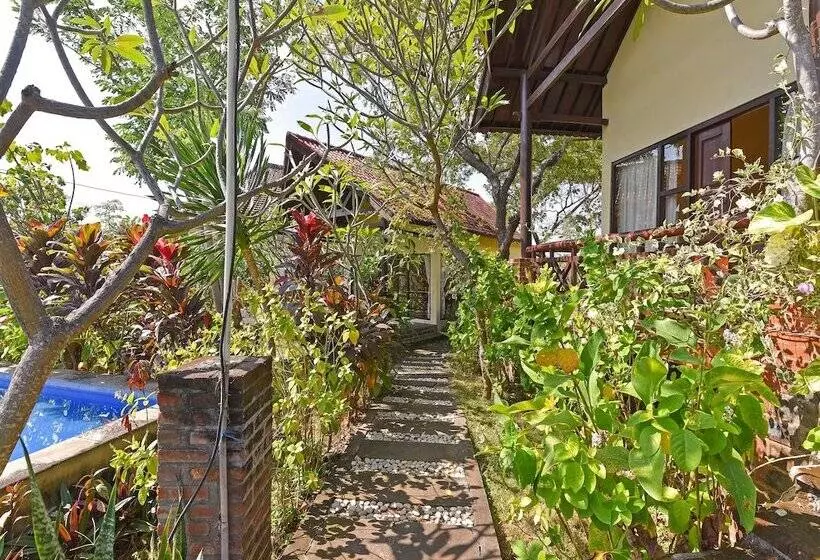 Hotelli Oyo 91191 Lovina Dolphin Lodge